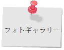 tHgM[