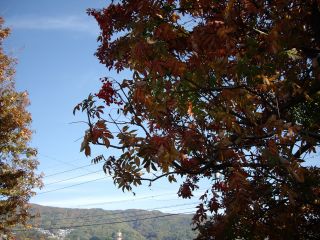 081102@iiJ}h