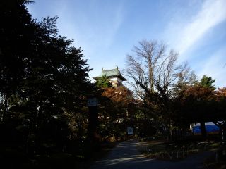 081102@