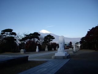 081123ɗ