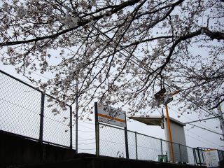 090328 Pw