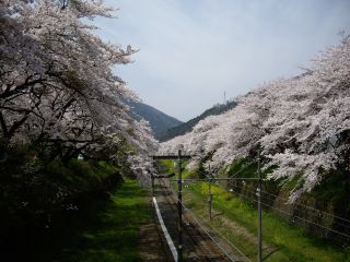 090408 Rkwt