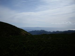 090921 mW]
