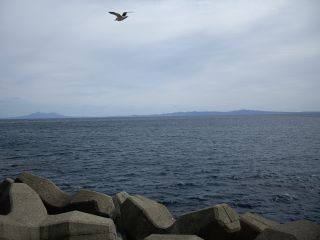 090921P荑]