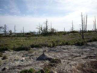 090921 gh2