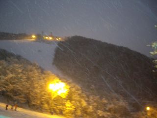 131230 XL[i