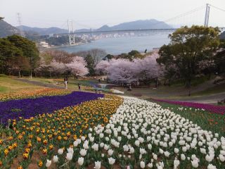 180401 gR`[bv